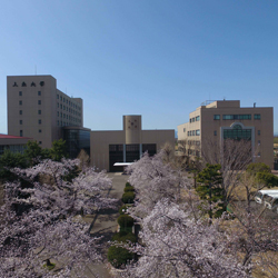 上武大学のオープンキャンパス