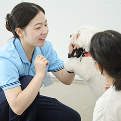 中央動物専門学校のcampusgallery