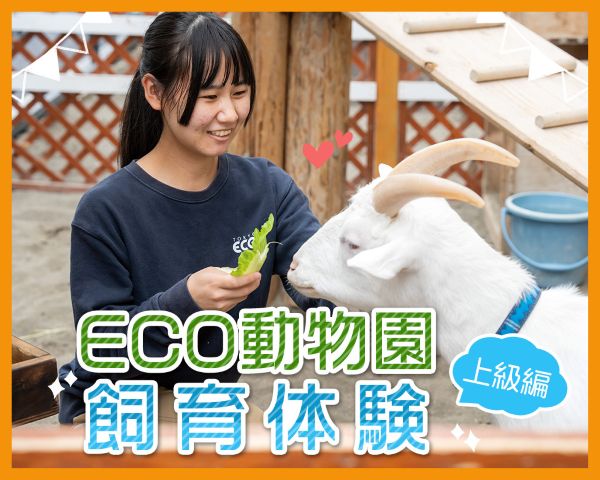 ＴＣＡ東京ＥＣＯ動物海洋専門学校のオープンキャンパス