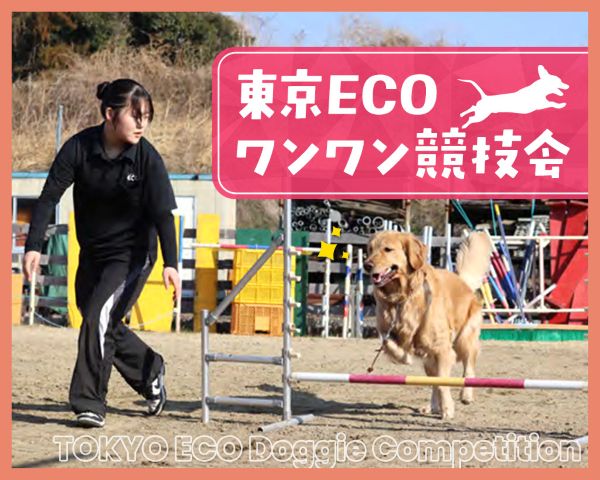 ＴＣＡ東京ＥＣＯ動物海洋専門学校のオープンキャンパス