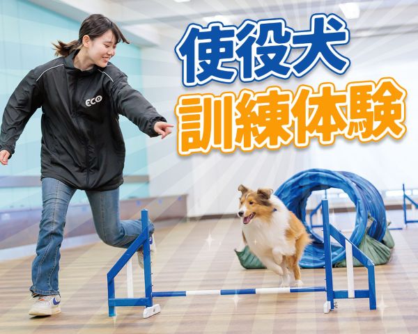ＴＣＡ東京ＥＣＯ動物海洋専門学校のオープンキャンパス