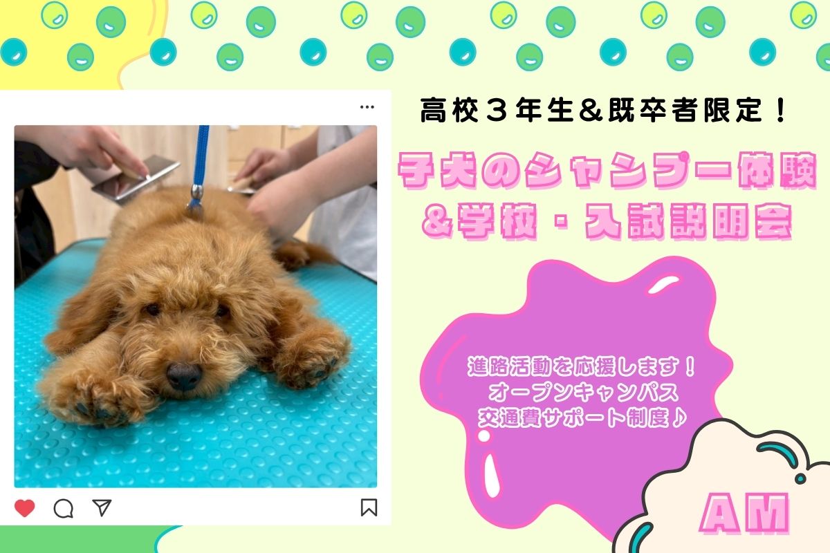 横浜動物専門学校のオープンキャンパス