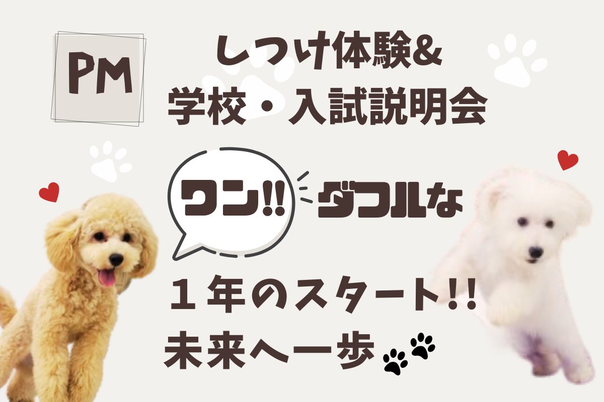 横浜動物専門学校のcampusgallery