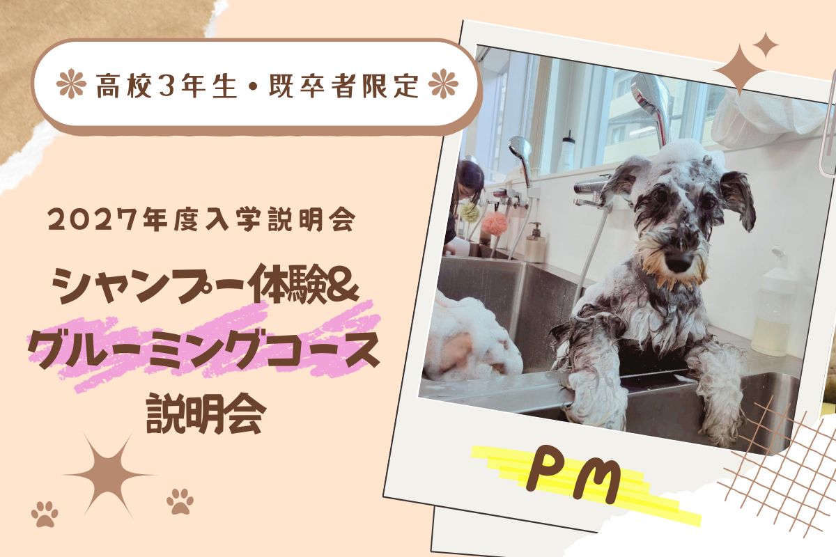 横浜動物専門学校のオープンキャンパス