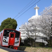 東海大学のオープンキャンパス