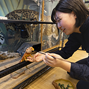 ヤマザキ動物看護大学のオープンキャンパス