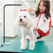 横浜動物専門学校のオープンキャンパス