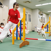 横浜動物専門学校のオープンキャンパス