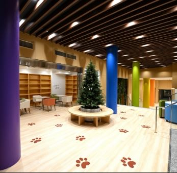 横浜動物専門学校のcampusgallery