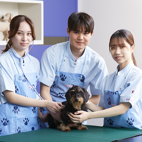 ヤマザキ動物専門学校