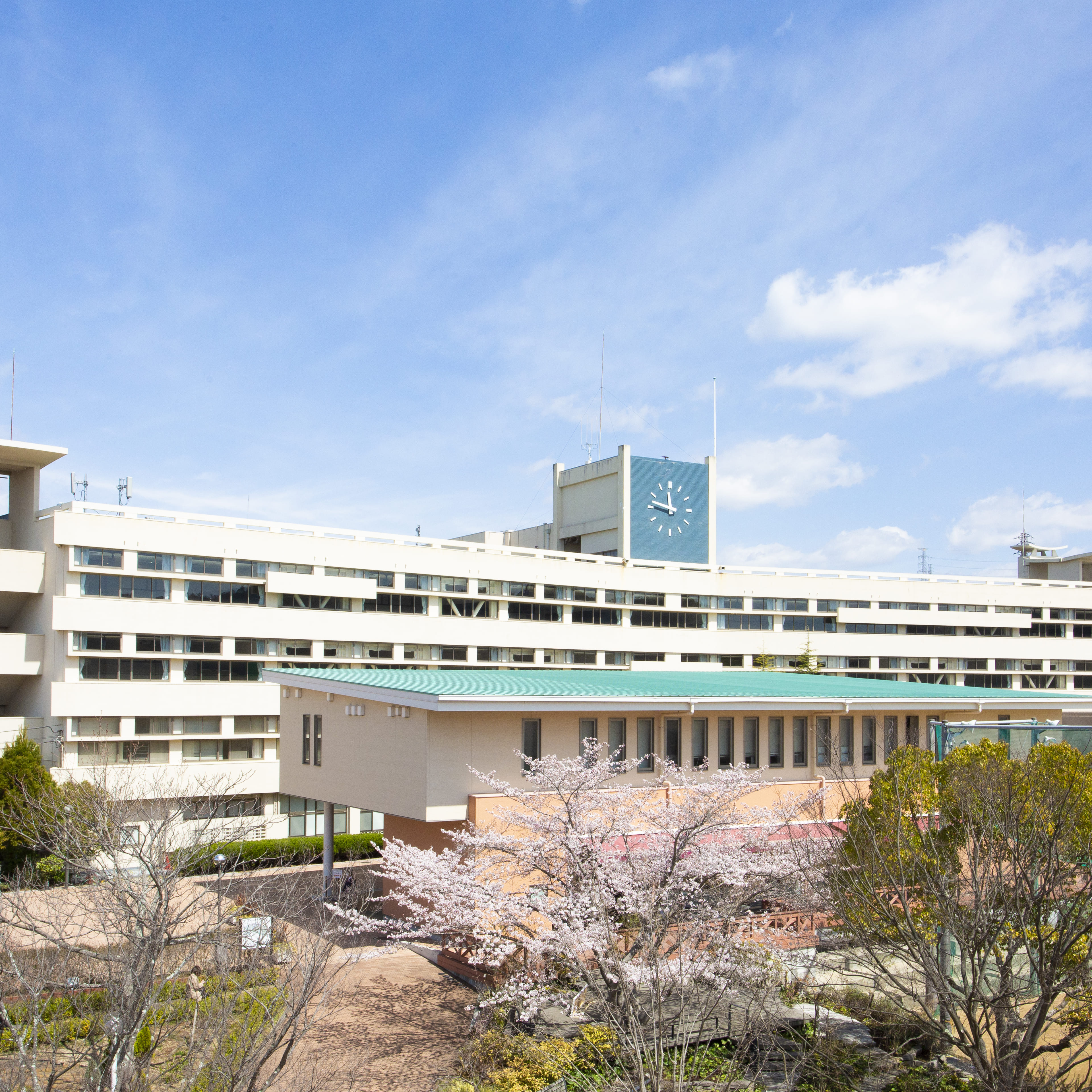 神戸親和大学