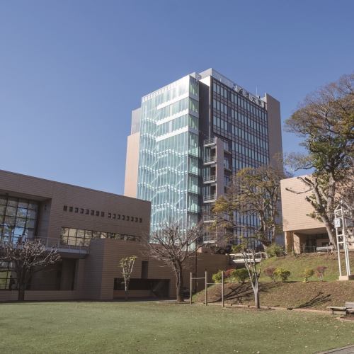 淑徳大学