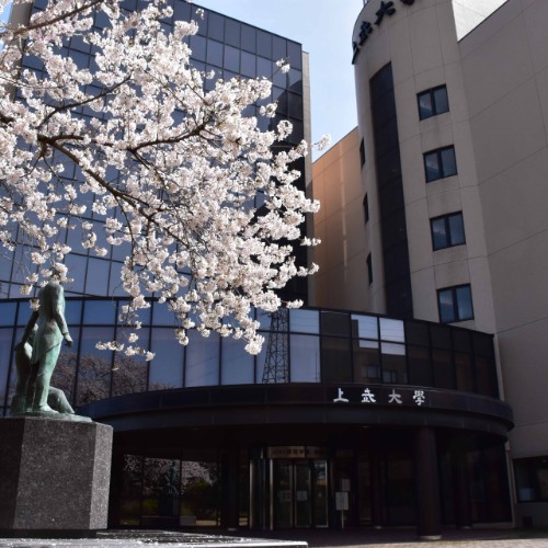 上武大学