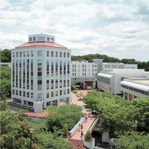 椙山女学園大学