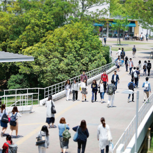 日本福祉大学