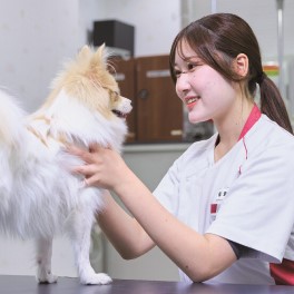 大宮国際動物専門学校1