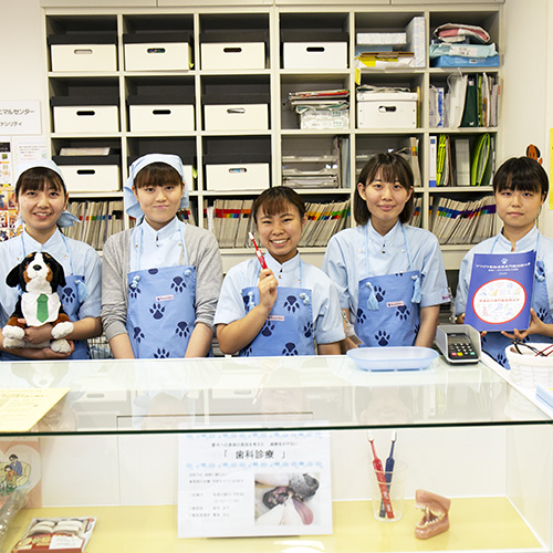 ヤマザキ動物看護専門職短期大学1