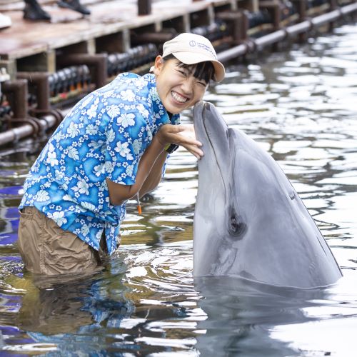 ＴＣＡ東京ＥＣＯ動物海洋専門学校