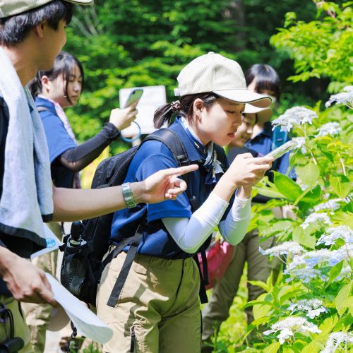 東京環境工科専門学校