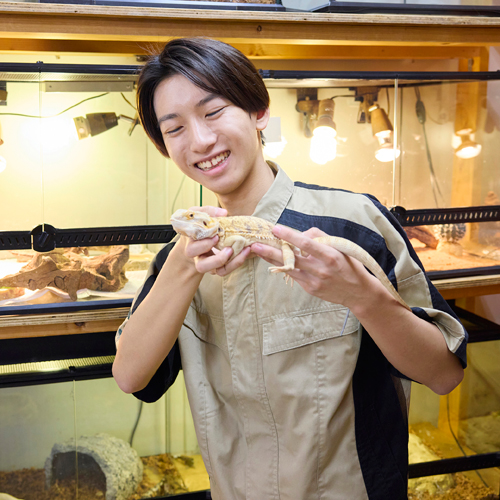 国際動物専門学校