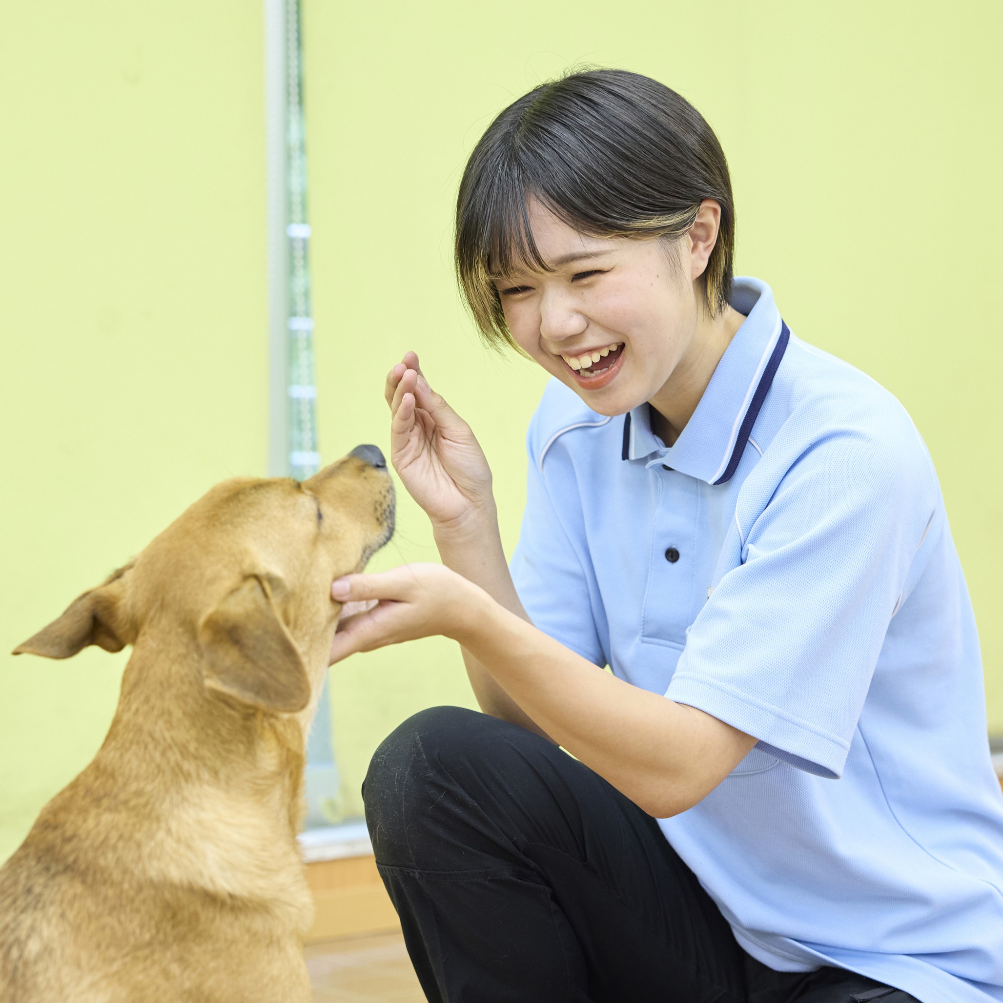 国際動物専門学校