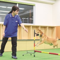 国際動物専門学校3