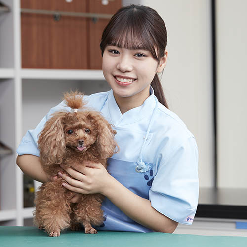 ヤマザキ動物専門学校4