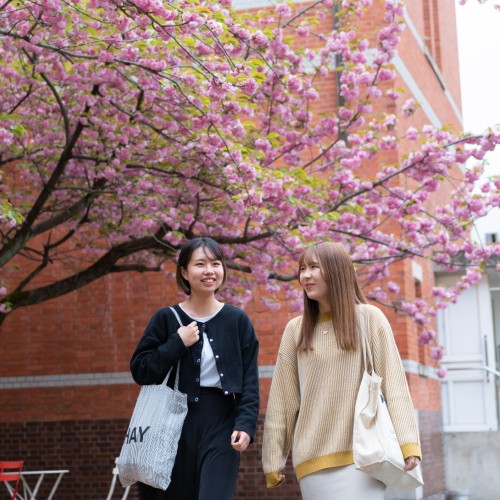 大谷大学