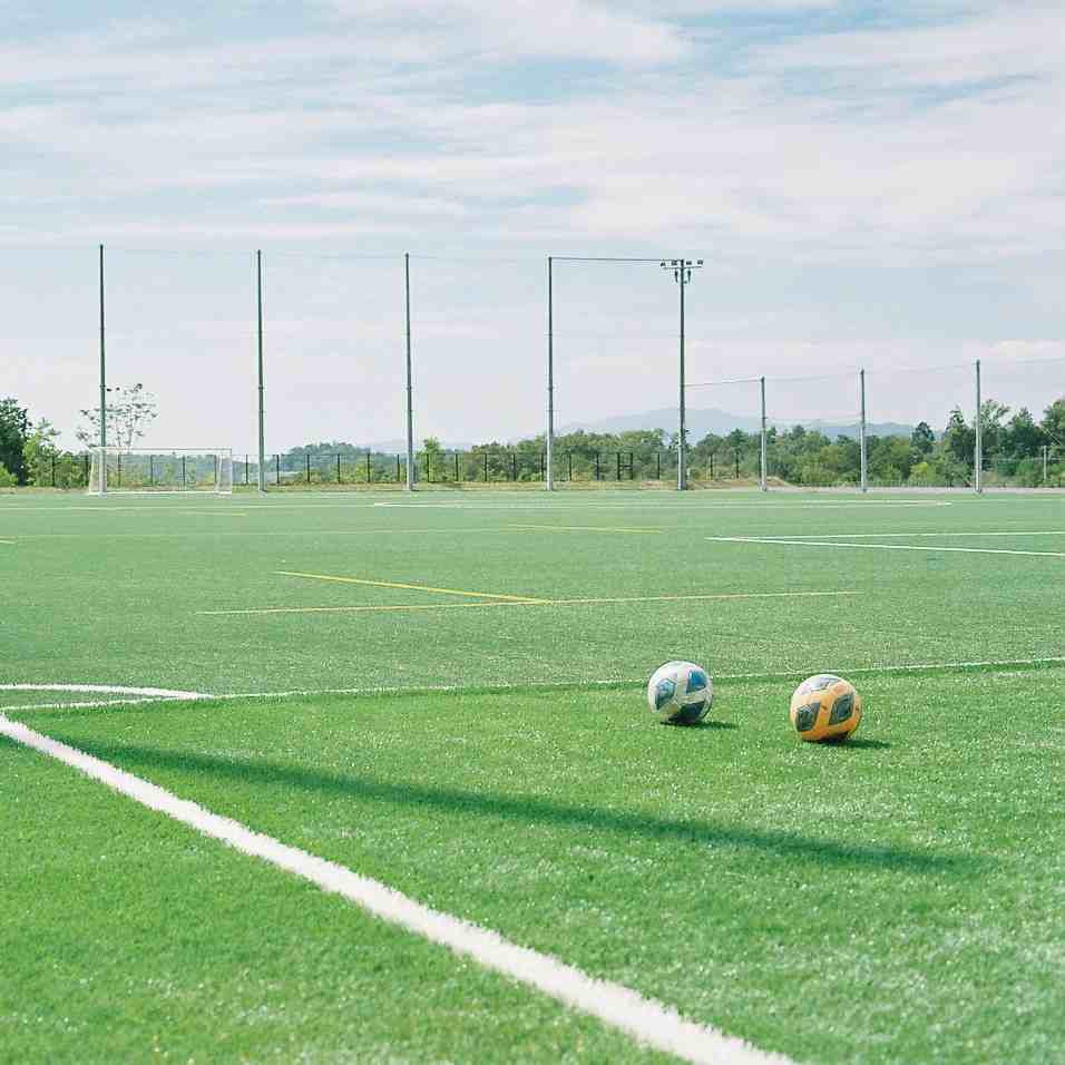 履正社国際医療スポーツ専門学校