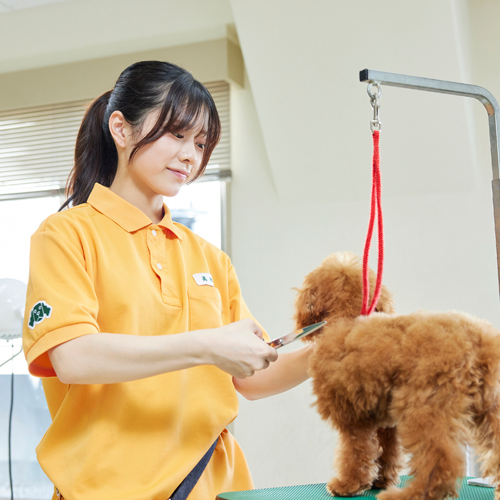 大宮国際動物専門学校4
