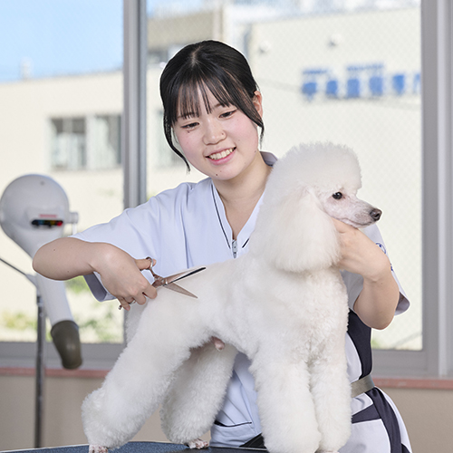 中央動物専門学校2