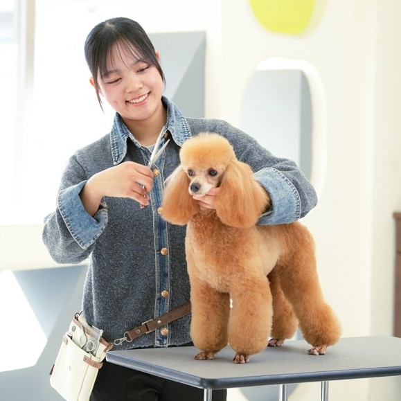 高崎動物専門学校2