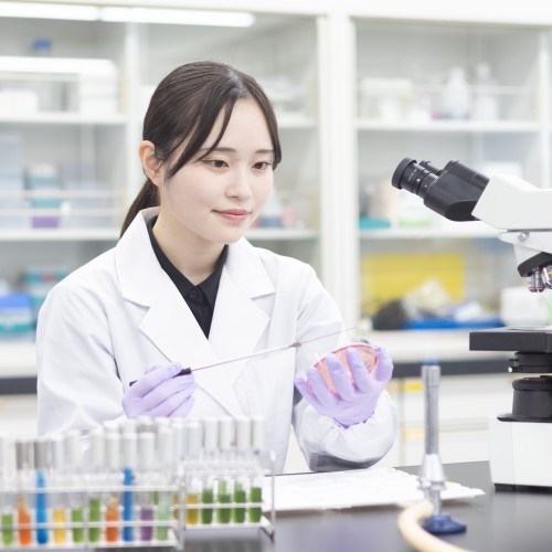 純真学園大学