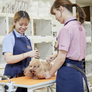 名古屋ＥＣＯ動物海洋専門学校