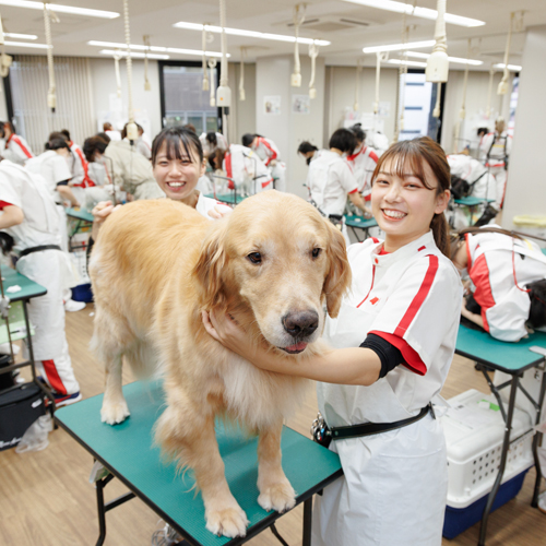 横浜動物専門学校