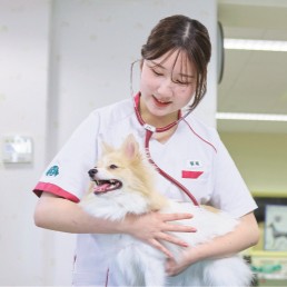 国際動物専門学校