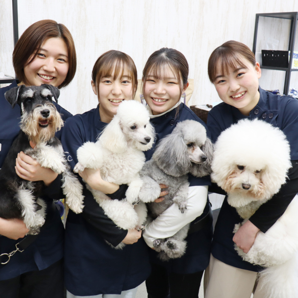 ＜メディカルトリマー学科＞
トリミングも看護もフードも学べる！／専門学校 岡山ビジネスカレッジ
