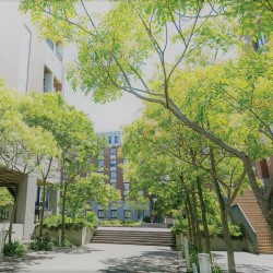 九州国際大学