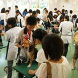 つくば国際ペット専門学校