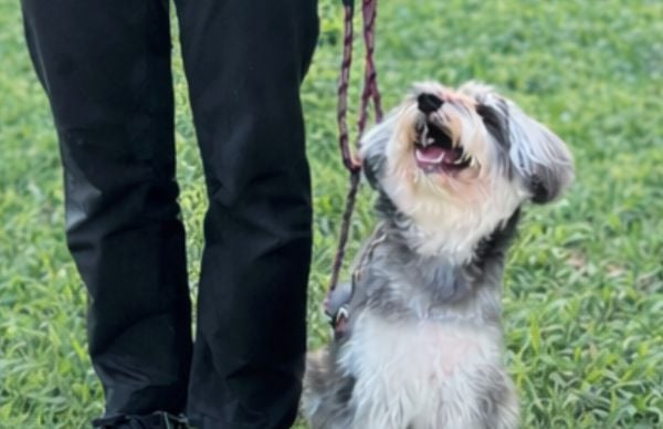 群馬動物専門学校