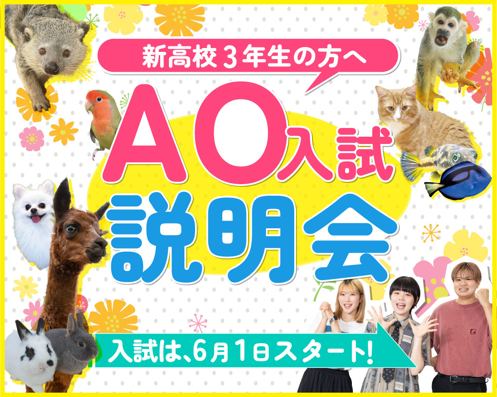 大阪ＥＣＯ動物海洋専門学校