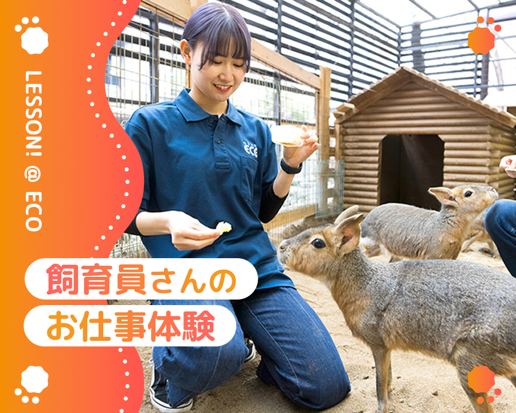 大阪ＥＣＯ動物海洋専門学校
