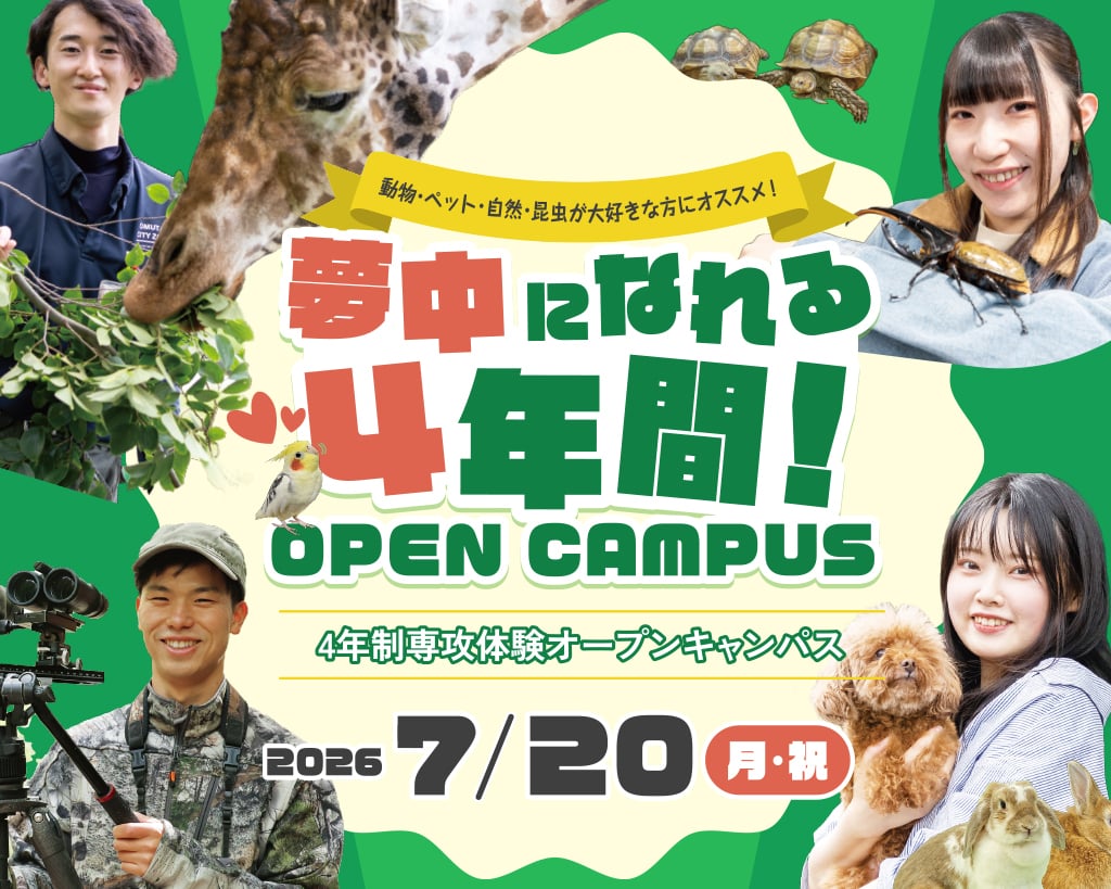 夢中になれる４年間！オープンキャンパス（動物園・水族館＆テクノロジー体験）／大阪ＥＣＯ動物海洋専門学校