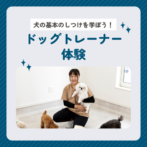 仙台ECO動物海洋専門学校