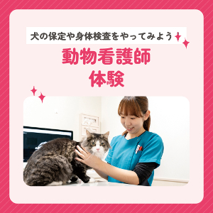 動物看護師体験／仙台ＥＣＯ動物海洋専門学校