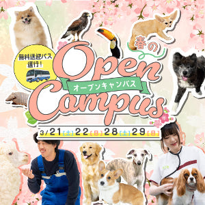 仙台ＥＣＯ動物海洋専門学校