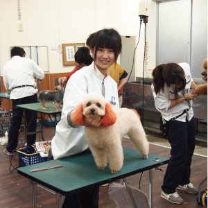 愛知ペット専門学校