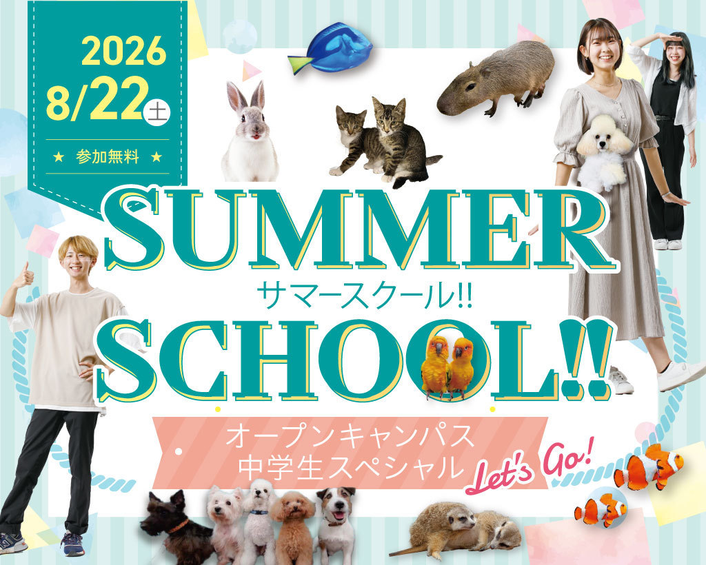名古屋ECOサマースクール！～オープンキャンパス中学生スペシャル～／名古屋ＥＣＯ動物海洋専門学校