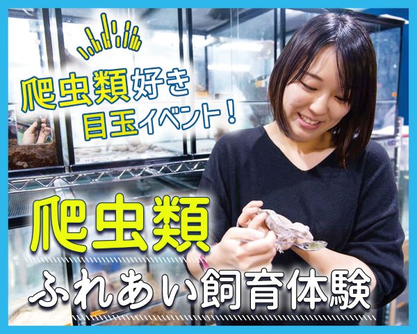 爬虫類ふれあい飼育体験／ＴＣＡ東京ＥＣＯ動物海洋専門学校