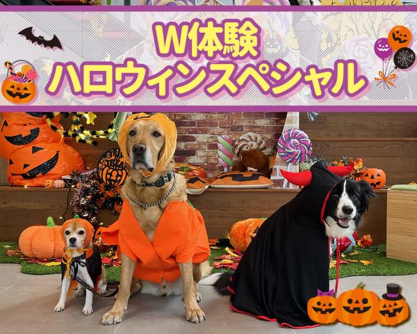 W体験DAY／ＴＣＡ東京ＥＣＯ動物海洋専門学校